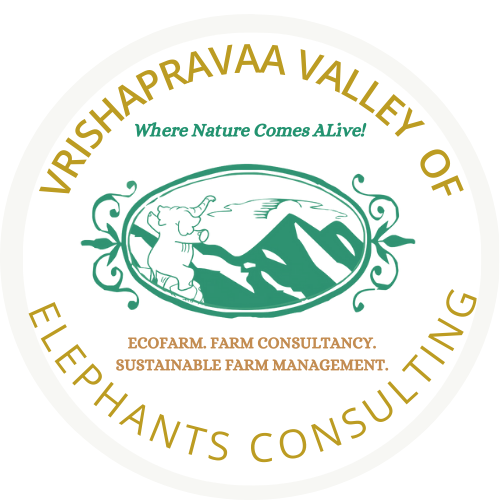 Valley Of Elephants Consulting